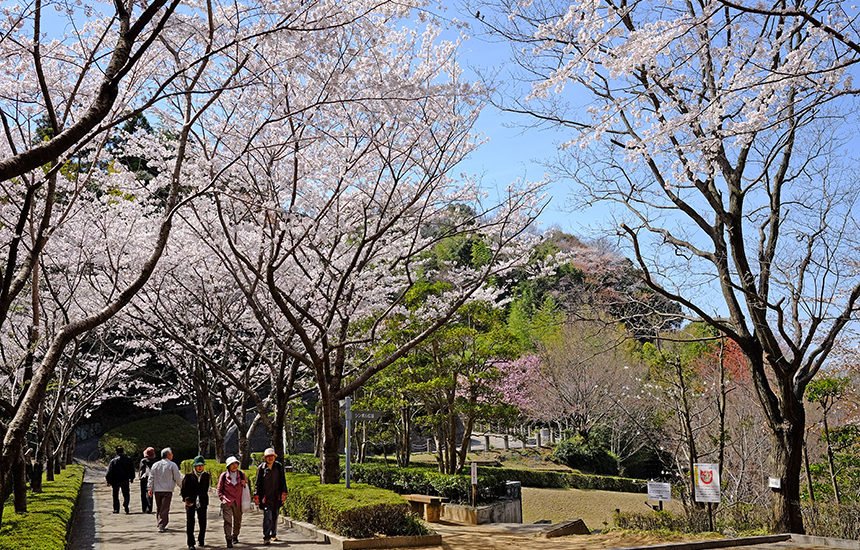 🌳 도쿠시마현 문화의 숲 종합 공원 (토쿠시마켄분카노모리소고코엔) 이미지 1